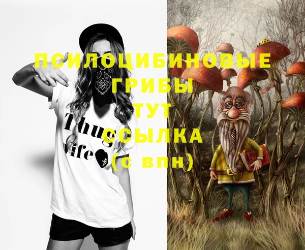 mdpv Алзамай