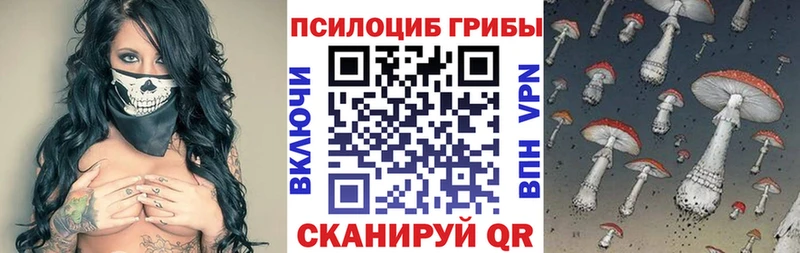 купить наркотик  Приморск  Псилоцибиновые грибы прущие грибы 